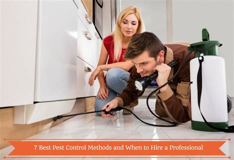 7 Best Pest Control Methods & When to Hire a Professional Pest Company