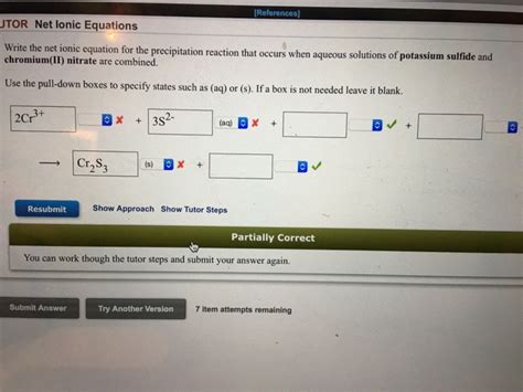 Solved Write the net ionic equation for the precipitation | Chegg.com