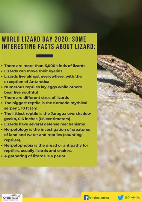 World Lizard Day 2020: Interesting facts about lizard - Oneindia News