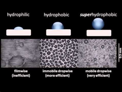 Comparison of condensation on hydrophilic, hydrophobic, and ...