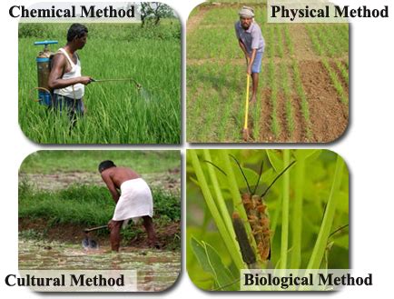 Methods of Weed Control - ClassNotes.ng