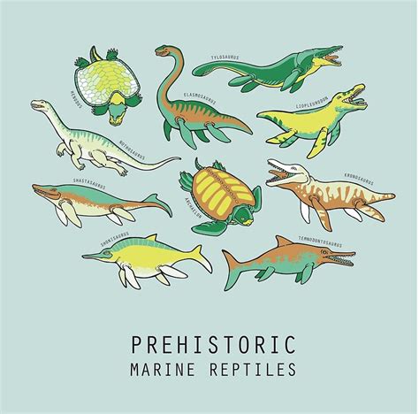 "Prehistoric Marine Reptiles" by softbiology | Redbubble