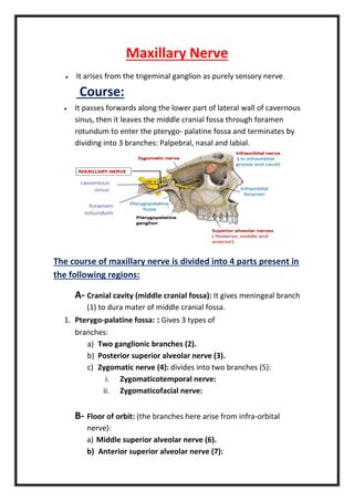 Maxillary Nerve & Artry | PDF