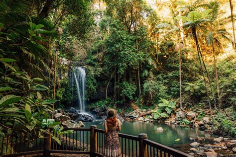 Tamborine Mountain - Top Things To Do | Queensland