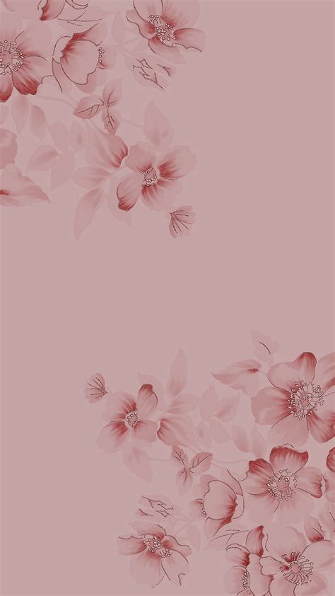 Pink flowers, aesthetic, flower, HD phone wallpaper | Peakpx