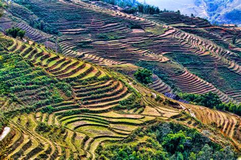 Chuck Kuhn's Vietnam in Photos: Sapa Rice Fields