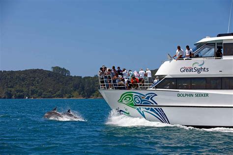 Bay of Islands Day Tour with Dolphin Watching Cruise in Auckland | My ...