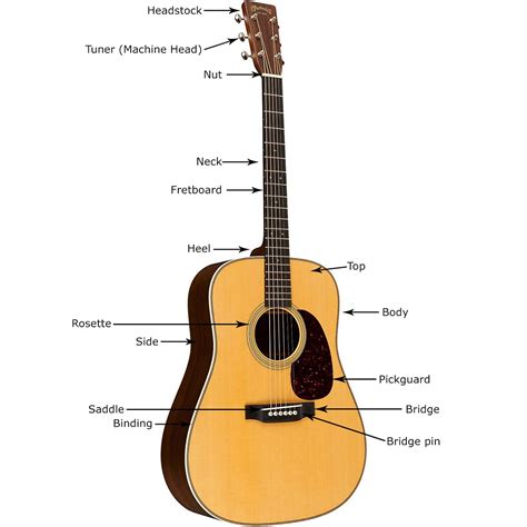 Buying Guide: How to Choose an Acoustic Guitar | The HUB