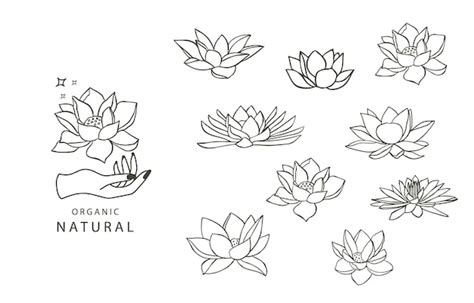 Premium Vector | Black lotus flower outlinevector illustration for ...