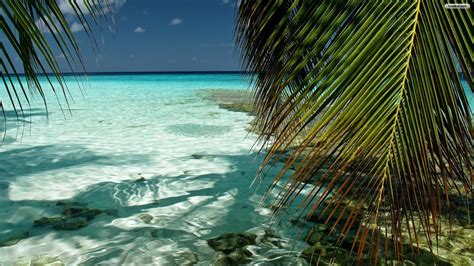 🔥 [20+] Desktop Wallpapers 1366x768 Tropical Beach | WallpaperSafari