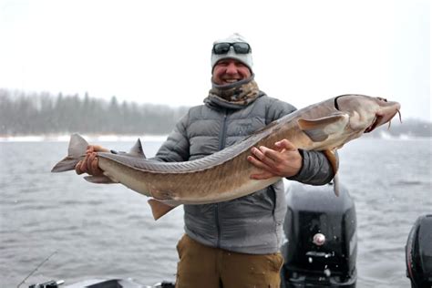 Sturgeon Fishing for the Beginner | OutdoorsFIRST