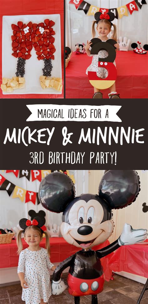 Mickey Minnie Mouse Birthday