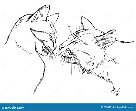 Couple in love cats stock vector. Illustration of mammal - 55344895