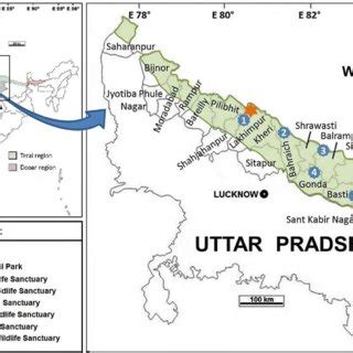 (PDF) Tree species of the Himalayan Terai region of Uttar Pradesh ...