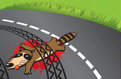 Dead Raccoon Clipart Image