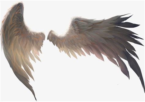 A Pair Of Birds Wings | Wings art, Wings drawing, Feather png