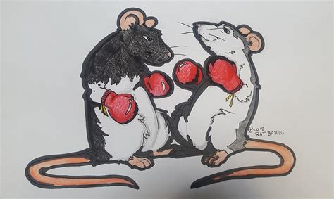 Rat battle Drawing by Nikki Castello - Fine Art America