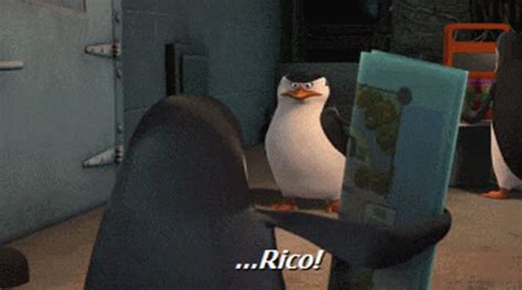 Rico Penguins Of Madagascar GIF - Rico Penguins Of Madagascar Penguin ...