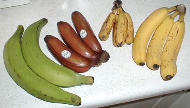 List of banana cultivars - Wikipedia