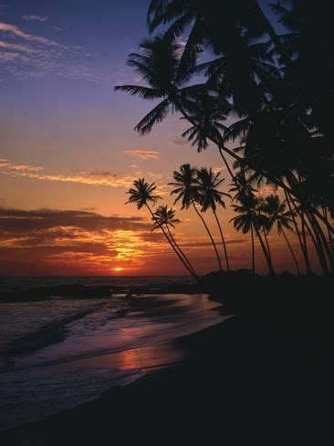 'Palm Beach, Sundown, Back Light' Photographic Print - Thonig | Art.com ...