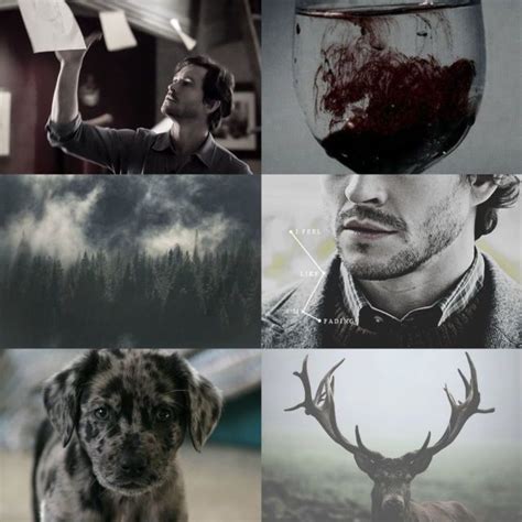 Hannibal Aesthetic~Will Graham