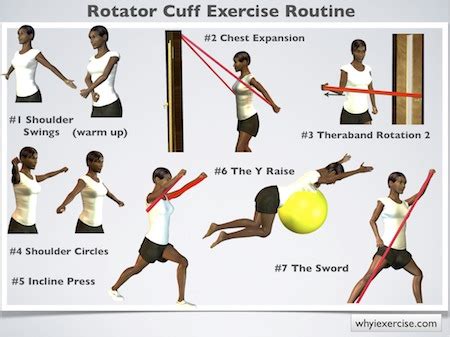 Rotator cuff exercises: improve your strength for lifting & overhead ...