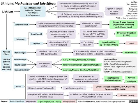 Lithium: Mechanisms and Side Effects | Calgary Guide