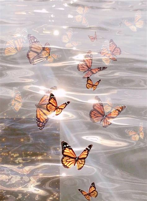 Aesthetic background | Butterfly wallpaper, Butterfly wallpaper iphone ...