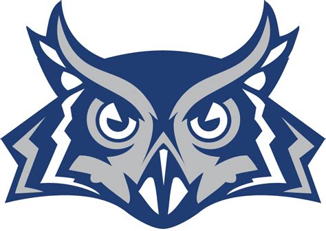 Rice Owls | Owl logo, Art logo, Sports logo design