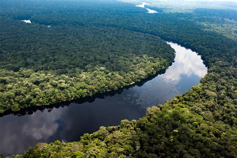 Kehilangan Hutan Indonesia Masih Terjadi di Kawasan Dilindungi ...