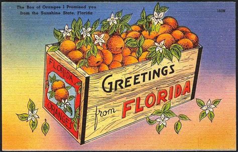 Vintage Florida Postcards