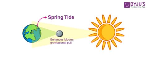 Spring Tides