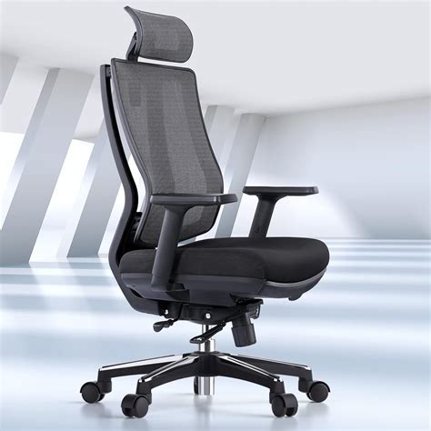 Buy OdinLake Ergonomic Office Chair Mesh - Seat Depth Adjustable Home ...