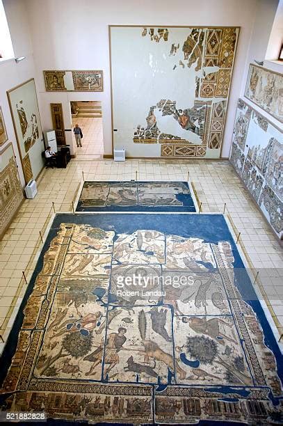 137 Hatay Archaeological Museum Stock Photos, High-Res Pictures, and ...