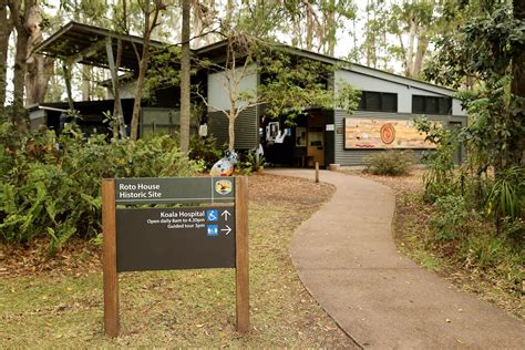 The Port Macquarie Koala Hospital was established in 1973 by the non ...