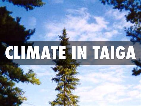 Taiga Climate