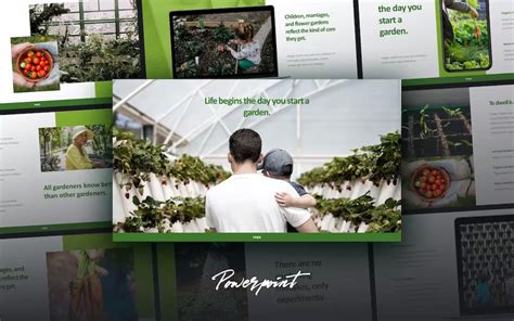 ROYO - Green Business Powerpoint Template for $19