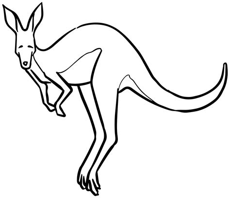 Hand drawn jumping kangaroo. Vector illustration. 39394953 Vector Art ...