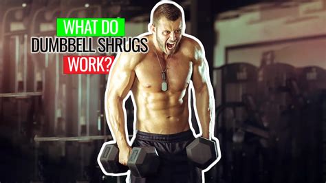 What Do Dumbbell Shrugs Work Plus 4 Exercise Benefits