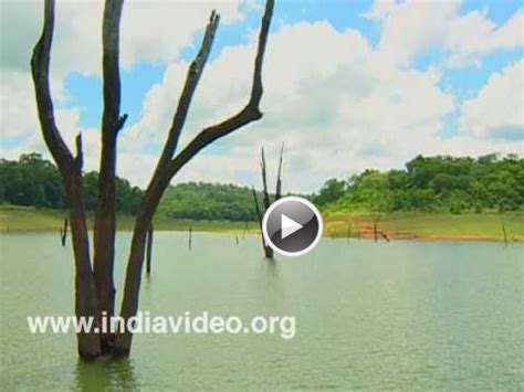 Boating in Thekkady Lake– Idukki, Travel, Kerala, India Video