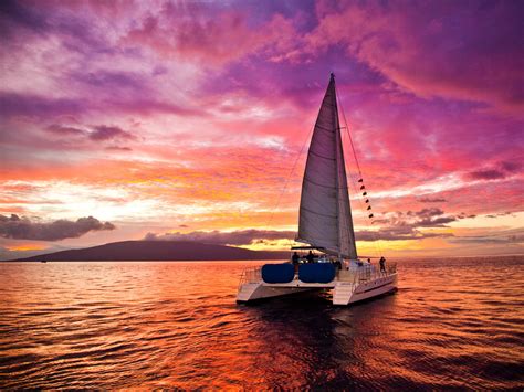 Sunset Catamaran Cruise - Pulga Adventures & Tours