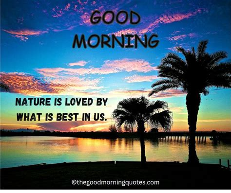 54+ Beautiful Good Morning Nature Quotes - Good Morning Quotes