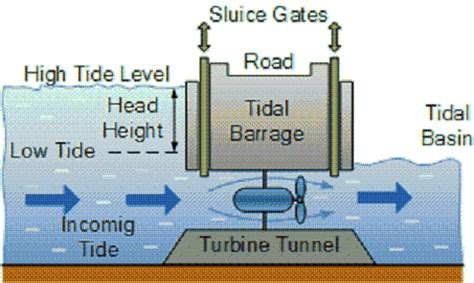 Diagram Of How Tidal Power Works Tidal Power Diagram