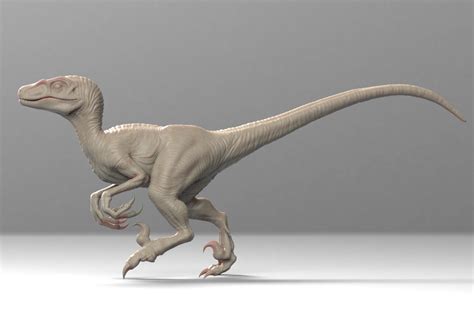 ArtStation - Velociraptor, Tibor Kéri | Velociraptor, Dinosaur art ...