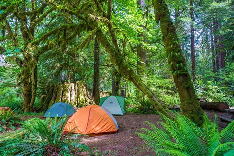 Campsites In Redwood National Park | Kids Matttroy