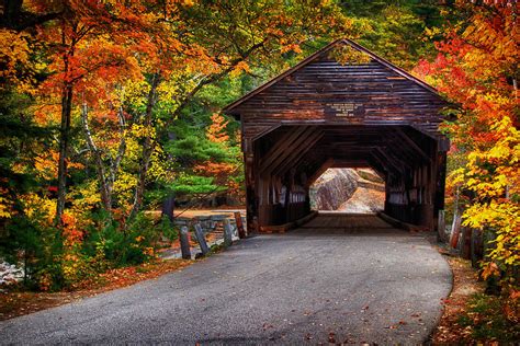 Covered Bridge In Fall Photograph by Richard Siggins