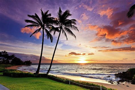 Beach Sunset With Palm Trees In Maui, Hawaii Photograph by Nature ...