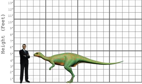 My Dryosaurus size comparison by EthanThomas2022 on DeviantArt