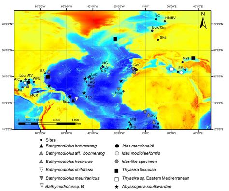 Map displaying the deep-sea hydrothermal vent and cold seep sites from ...