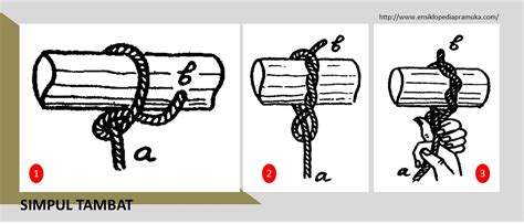 Ensiklopedia Pramuk: Tali temali : simpul tambat, simpul penarik ...